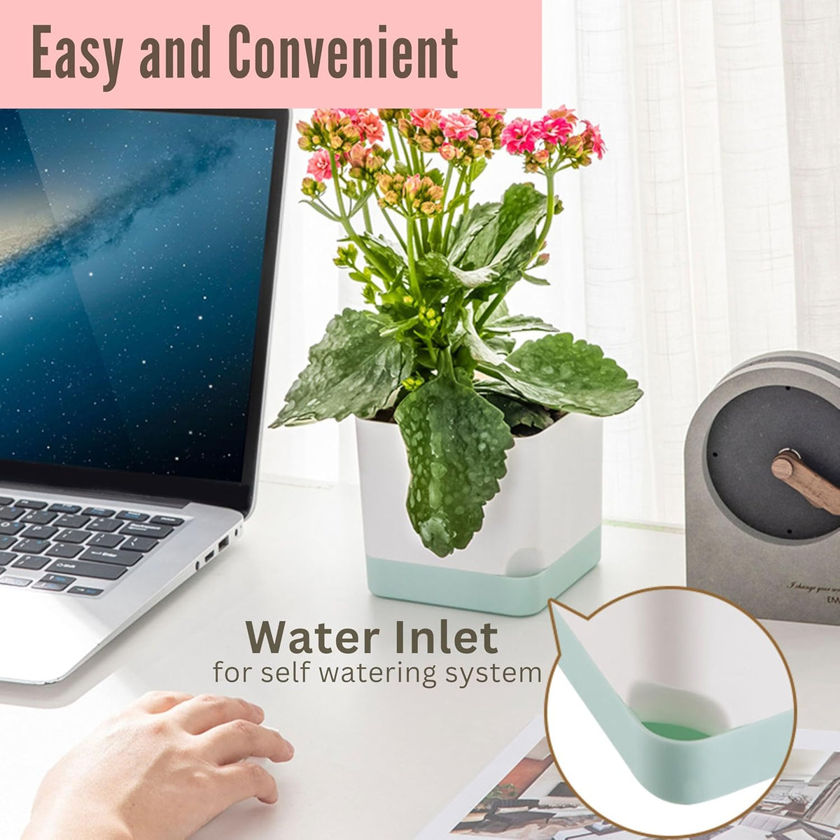 LaLaGreen Mixed-Size Self-Watering Planter Box Set