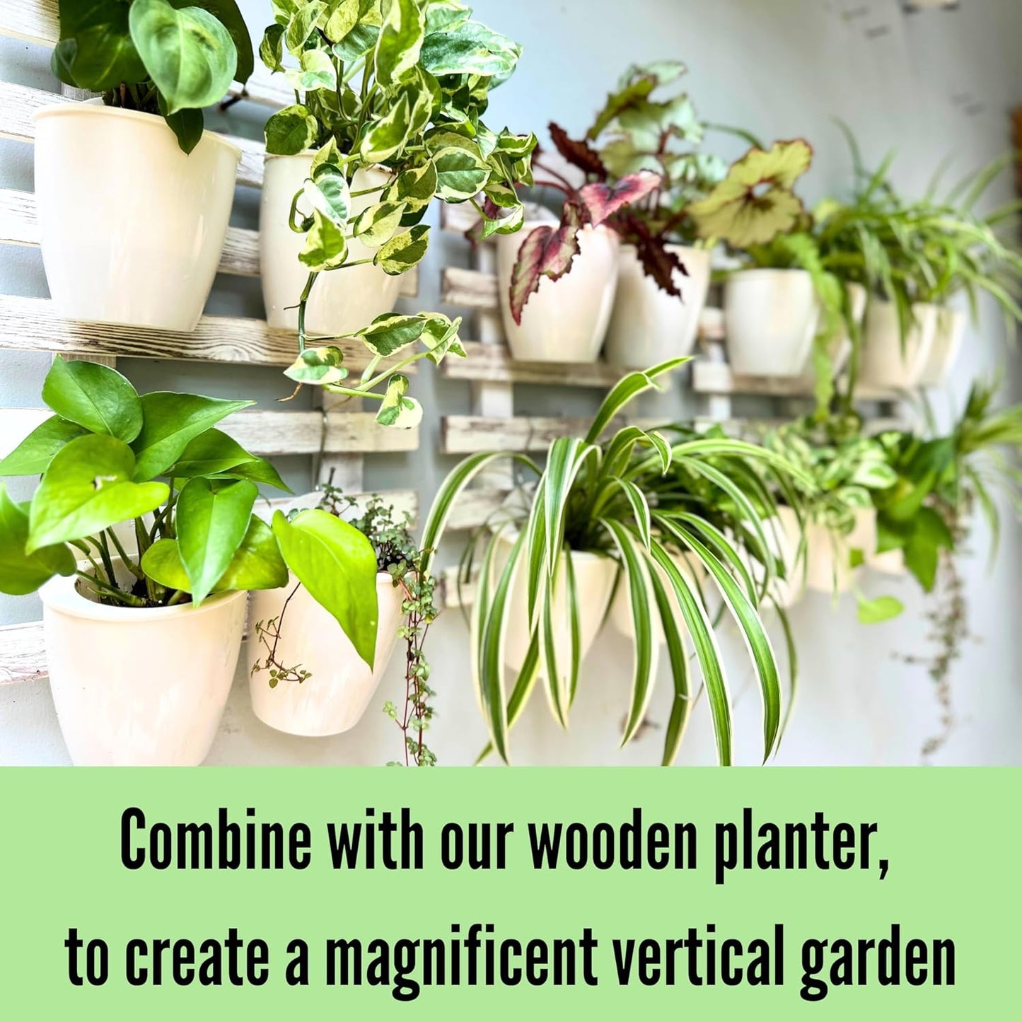 LaLaGreen Wall Mounted Planters for Indoor Plants - 10 Pack, 5 Inch Self Watering Plastic Pot, Living Hanging Eco Wall Planter System, Trendy Live Wall Garden for Herb, White