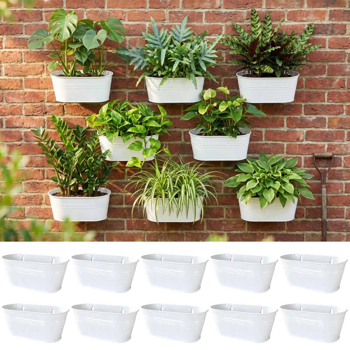 LaLaGreen Oval Metal Wall Planters
