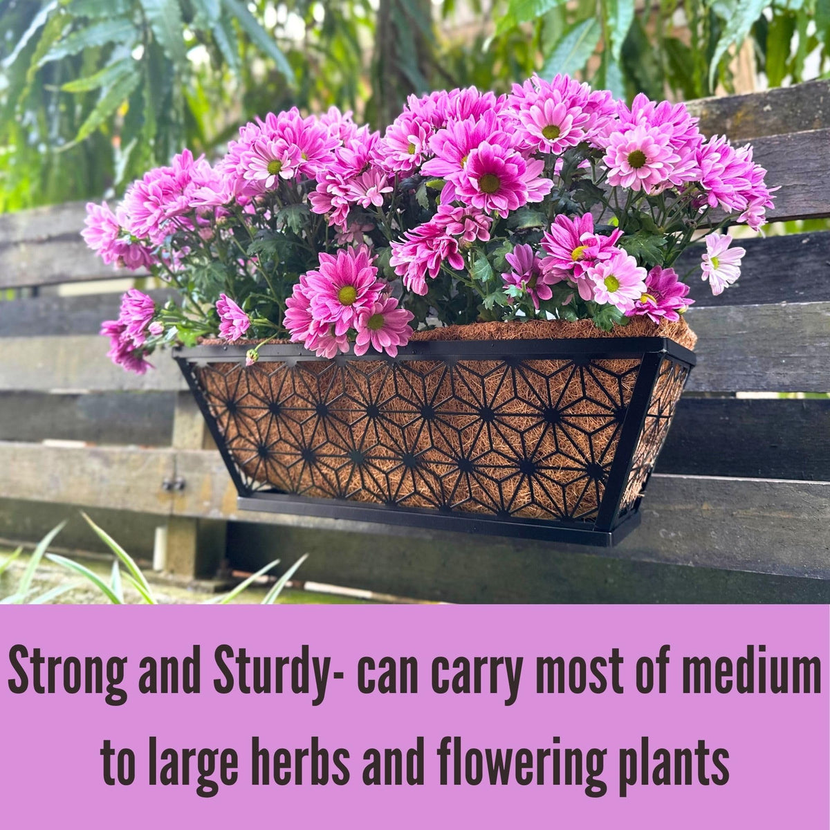 LaLaGreen Flower Wall Planter (12 in, 2 Pack) Black Fence Window Box