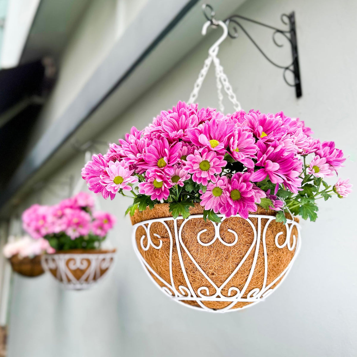 LaLaGreen Metal Hanging Baskets (10 in, 2 Pack) White Coco Liner Plant Pots