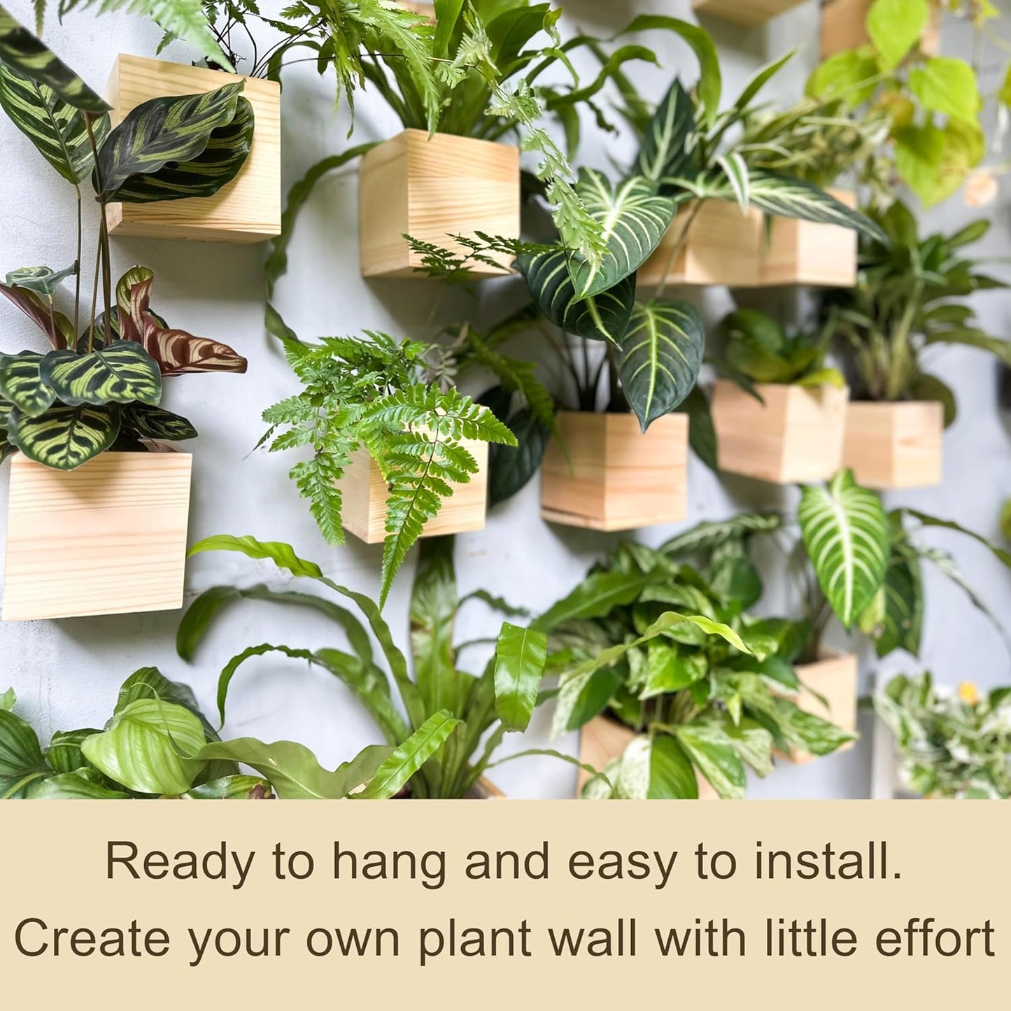 LaLaGreen Wooden Planter Box for Plants (2 Pack, 4x4 Inch) Small Square Wall Planters for Indoor Plant, Natural Wood Hanging Flower Pot Boxes Table Centerpiece Herb Balcony Home Garden Office Decor