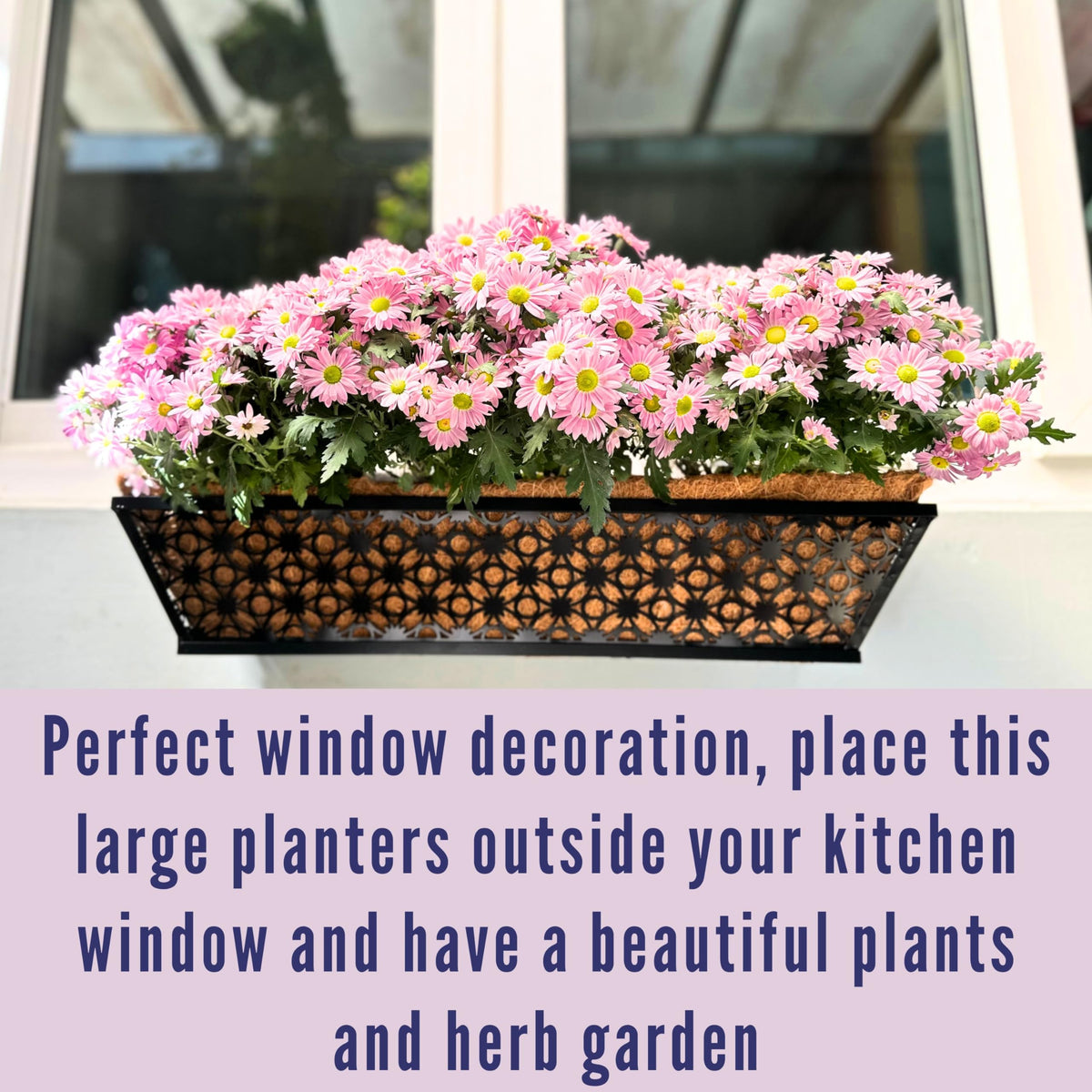 LaLaGreen Flower Wall Planter (12 in, 2 Pack) Black Metal Window Boxes