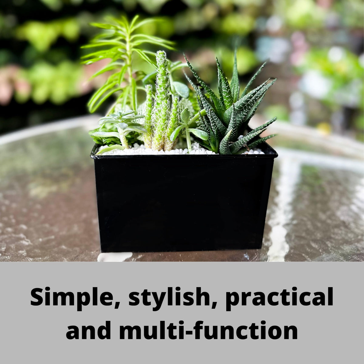 LaLaGreen Metal Wall-Mount Planter Pots