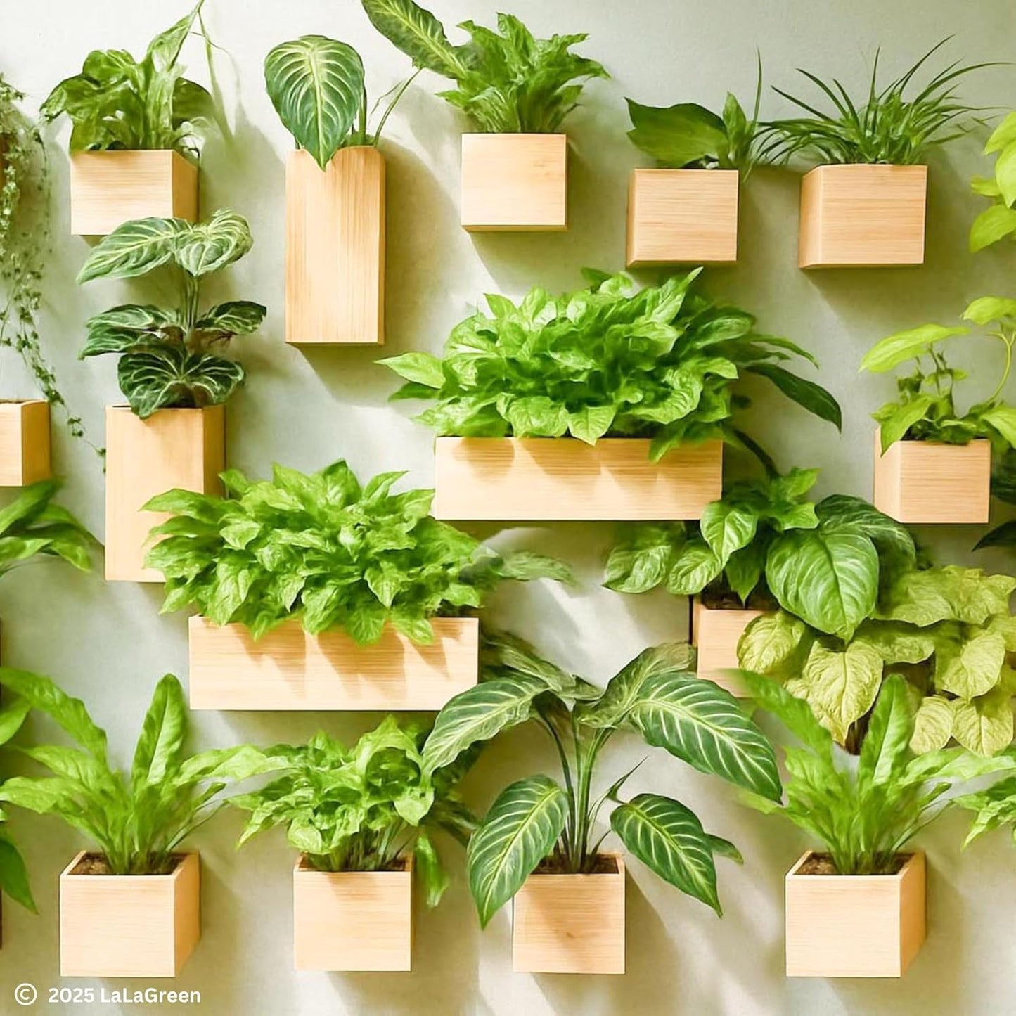 LaLaGreen Wooden Planter Box for Plants (2 Pack, 4x4 Inch) Small Square Wall Planters for Indoor Plant, Natural Wood Hanging Flower Pot Boxes Table Centerpiece Herb Balcony Home Garden Office Decor