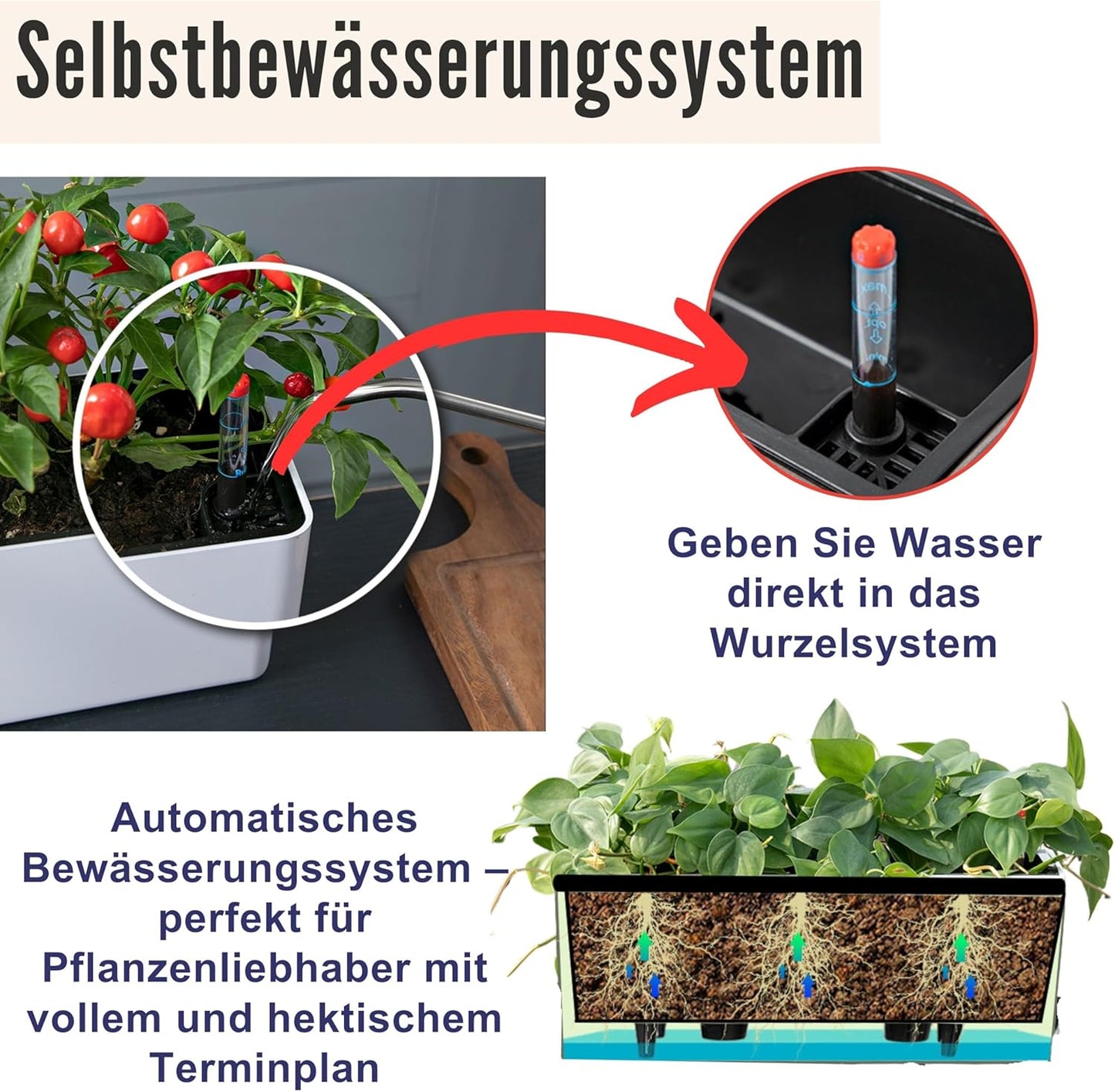 LaLaGreen Planter Box for Indoor Plants (2 Pack, 16 Inch) Black Rectangular Self Watering Flower Pot, Large Window Boxes Planters with Drainage Decorative Modern Balcony Windowsill Herbs Home Garden