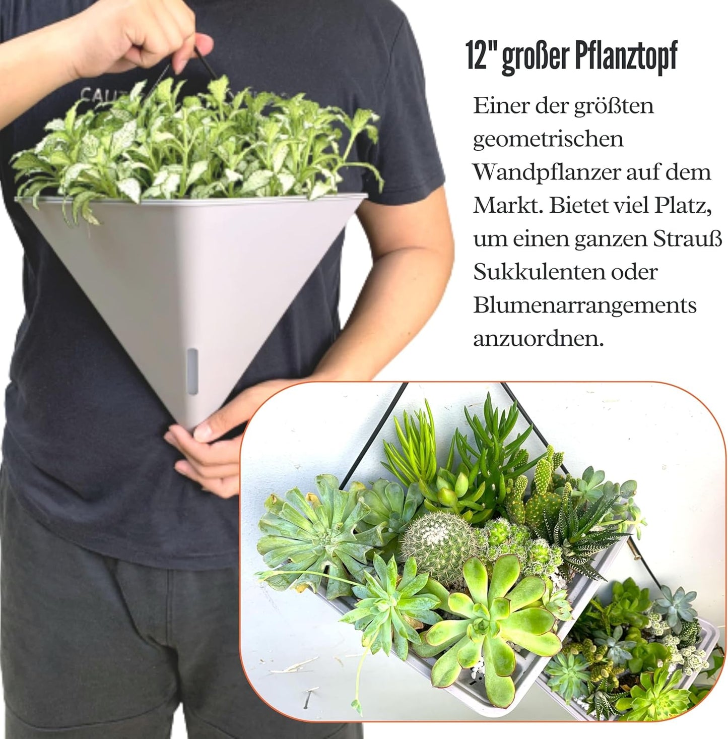 LaLaGreen Succulent Wall Planters - 2 Pack, 12 Inch Large Self Watering Wall Hanging Planters for Indoor Plants Gray Wall Mount Triangle Geometric Flower Vase Pot Black Metal Hanger Living Wall Decor