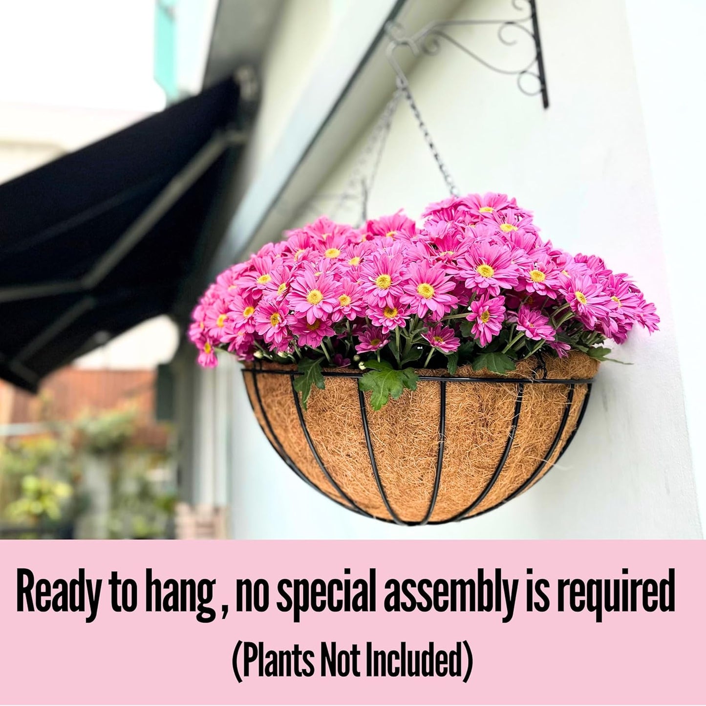 LaLaGreen Hanging Baskets for Plant Outdoor (18 Inch, 2 Pack) Extra Large Black Metal Wire Hanging Planter with Coco Liner Round Flower Pot Holder Hanger Deck Porch Modern Garden Balcony Country Decor