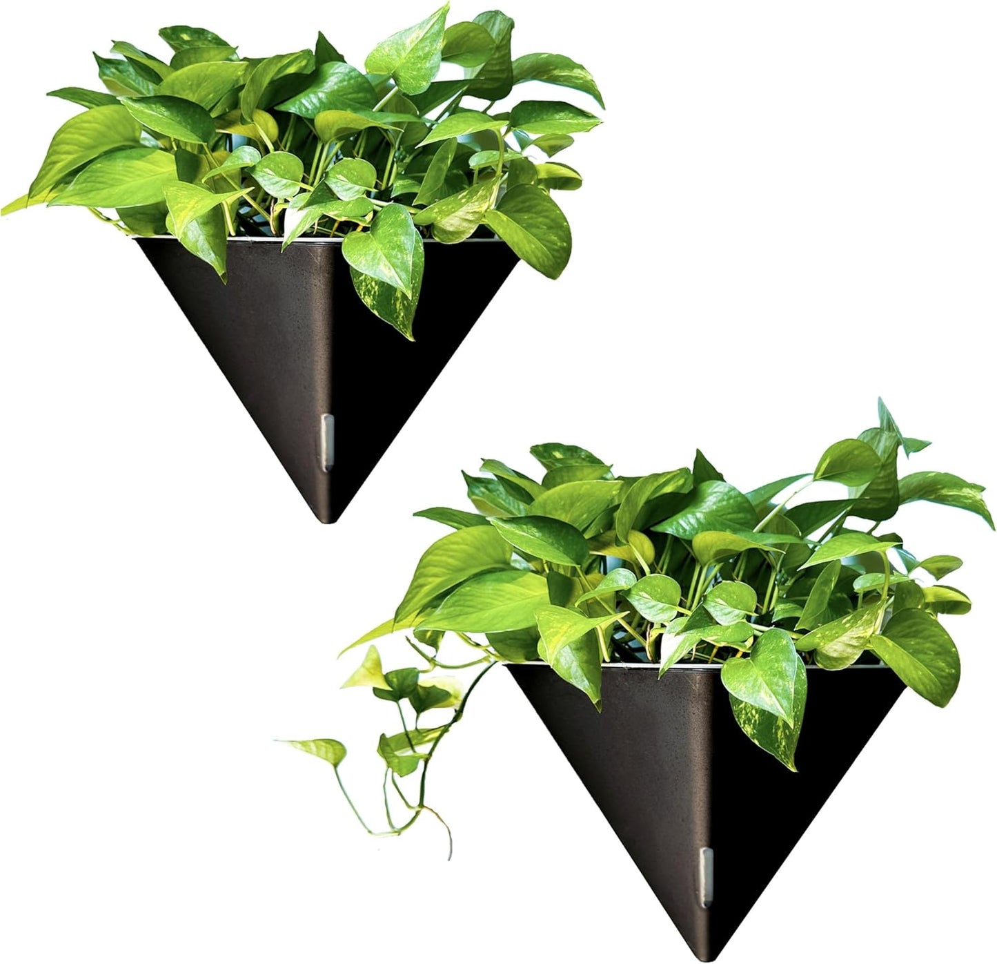 LaLaGreen Wall Planters for Indoor Plants - 4 Pack, 12 Inch Large Self Watering Black and White Mixed Color Geometric Indoor Vertical Garden Wall Hanging Flower Vase Vessel with Metal Hanger Stylish