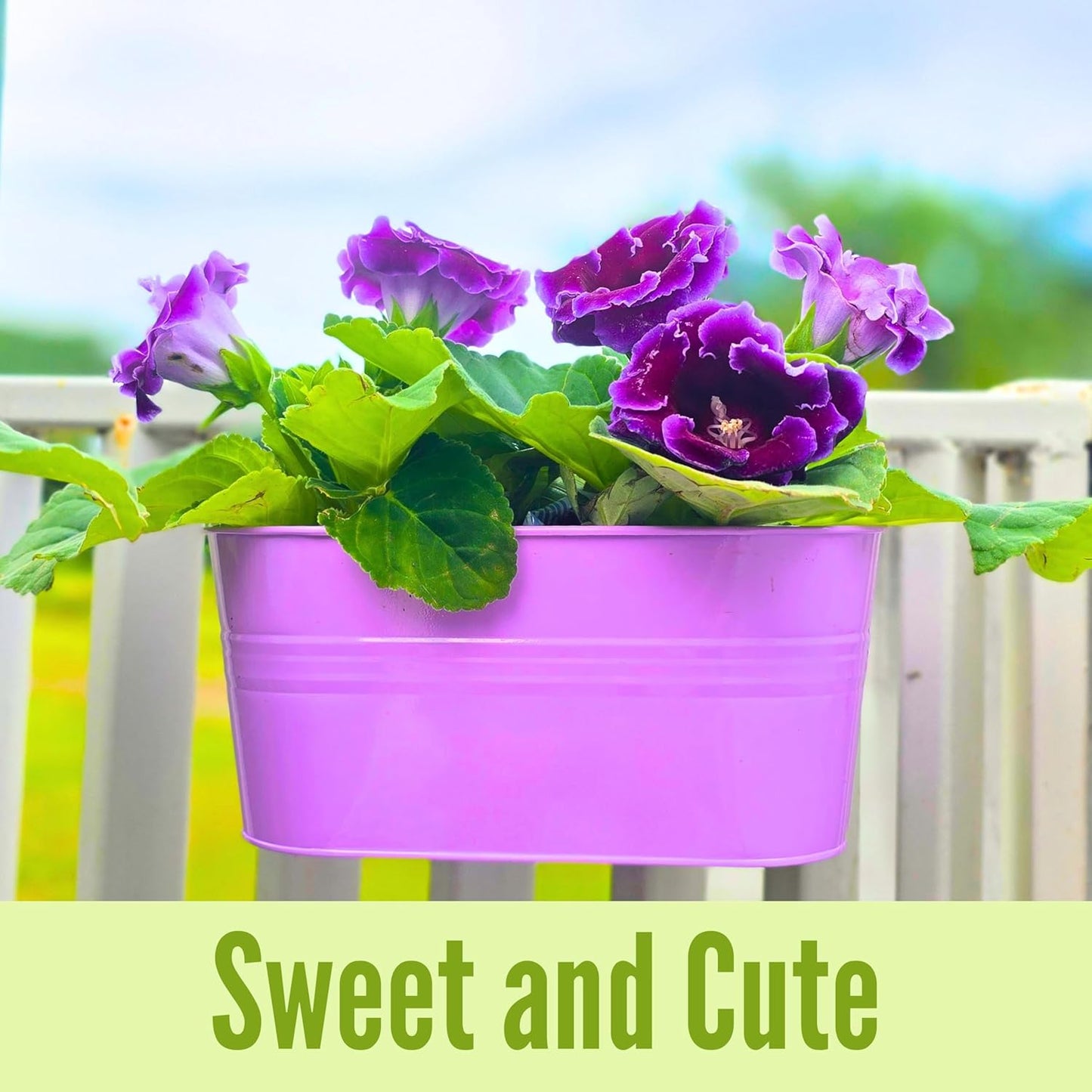 LaLaGreen Outdoor Hanging Planter (11.2 Inch, 6 Pack) Light Purple, Green, Yellow, Cadet Blue, Dark Pink, Red Metal Iron Window Box Flower Pot Deck Railings Balcony Fence Rail Porch Home Garden Decor