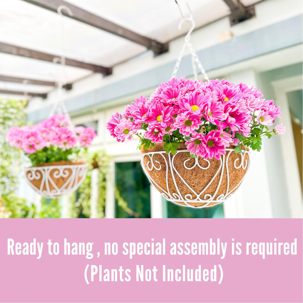 LaLaGreen Metal Hanging Baskets (10 in, 2 Pack) White Coco Liner Plant Pots