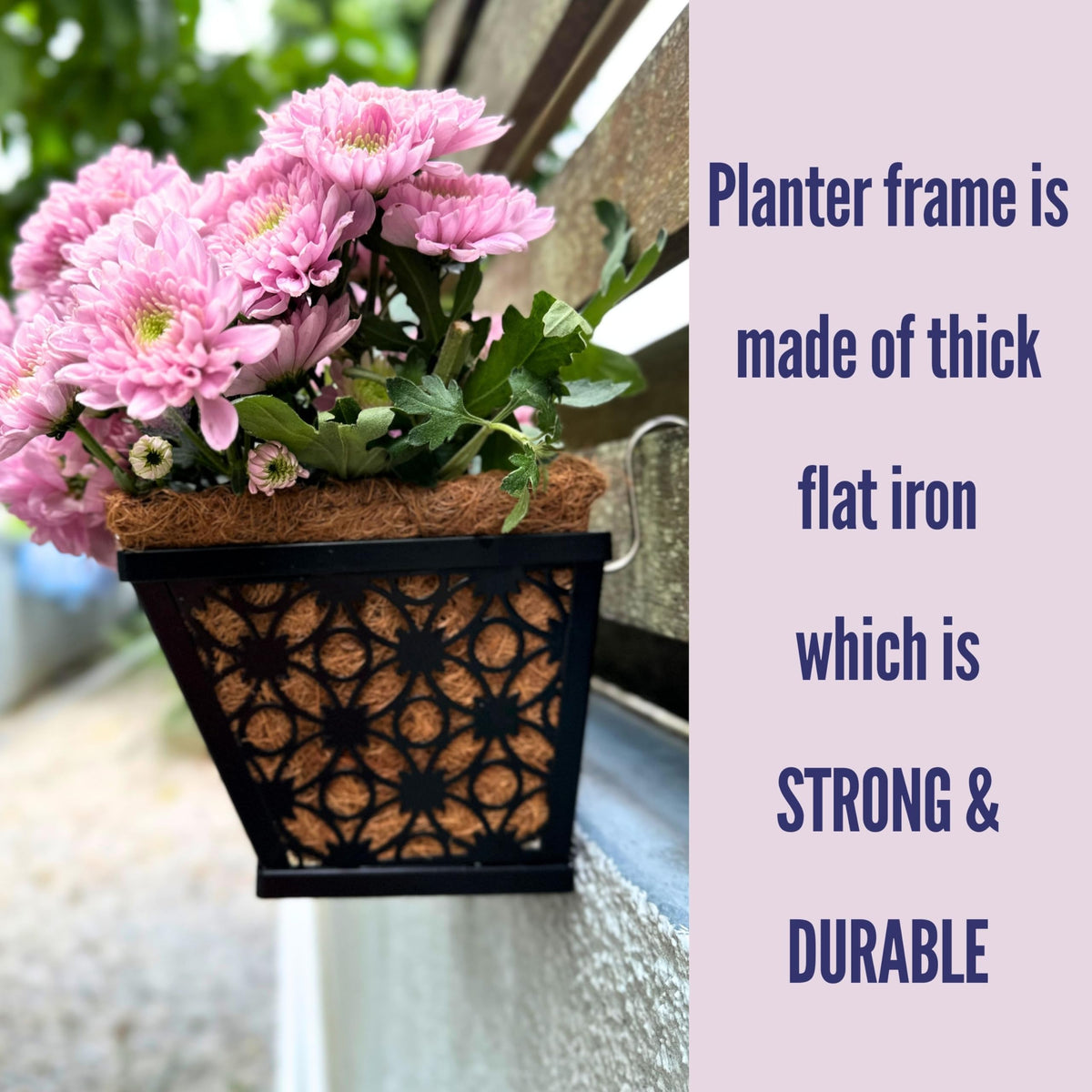 LaLaGreen Flower Wall Planter (12 in, 2 Pack) Black Metal Window Boxes