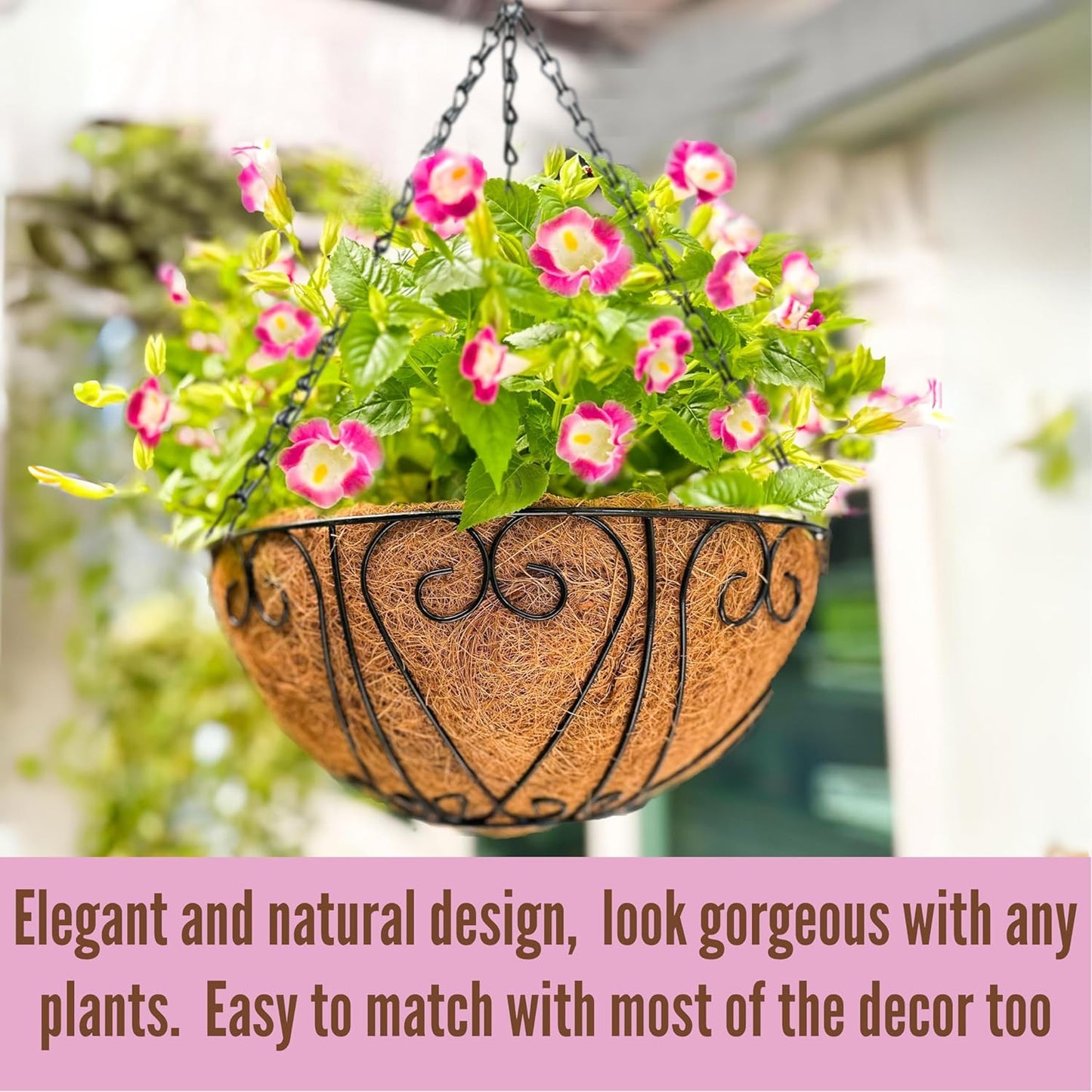 LaLaGreen Hanging Baskets for Plants (2 Pack, 12 Inch) Hanging Flower Pots with Coco Liner, Black Metal Wire Round Basket Plant Holder with Hanger Hook Chain, Outdoor Patio Deck Balcony Garden Décor