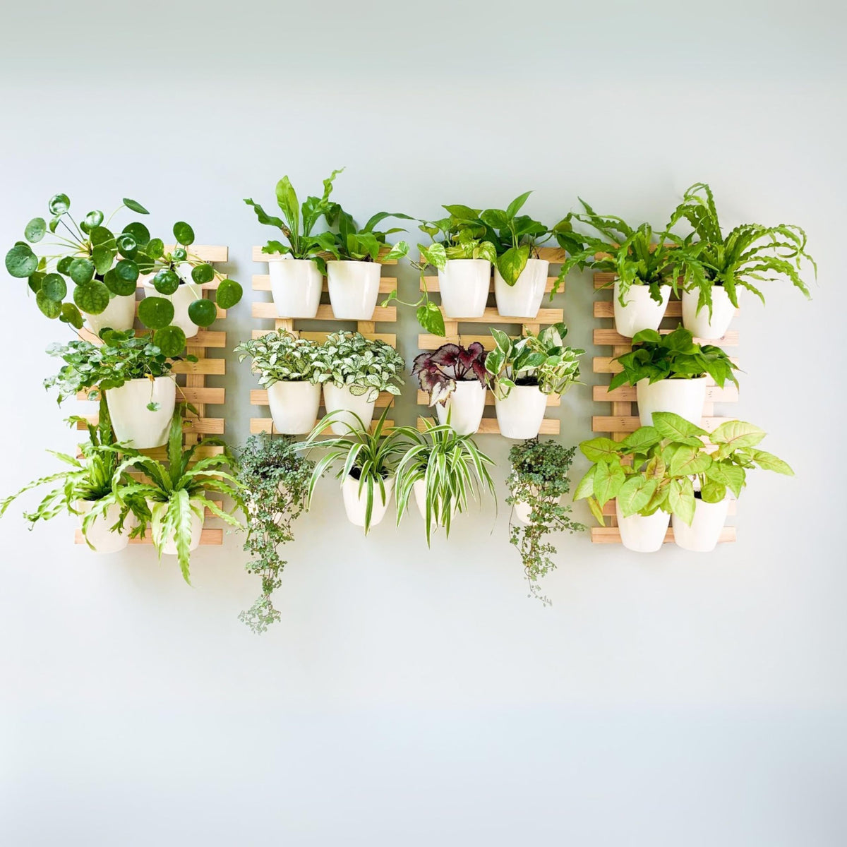 LaLaGreen Natural Wood Ladder-Style Wall Plant Holders