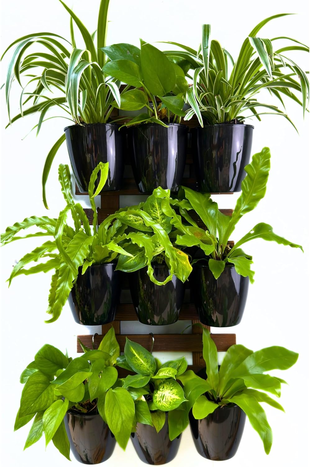 LaLaGreen Wall Planters for Indoor Plants - 10 Pack, 5 Inch Black Self Watering Wall Planter, Eco Wall Mounted Planters System Living Hanging Wall Pots Holder Trendy Live Wall Garden Indoor for Herb