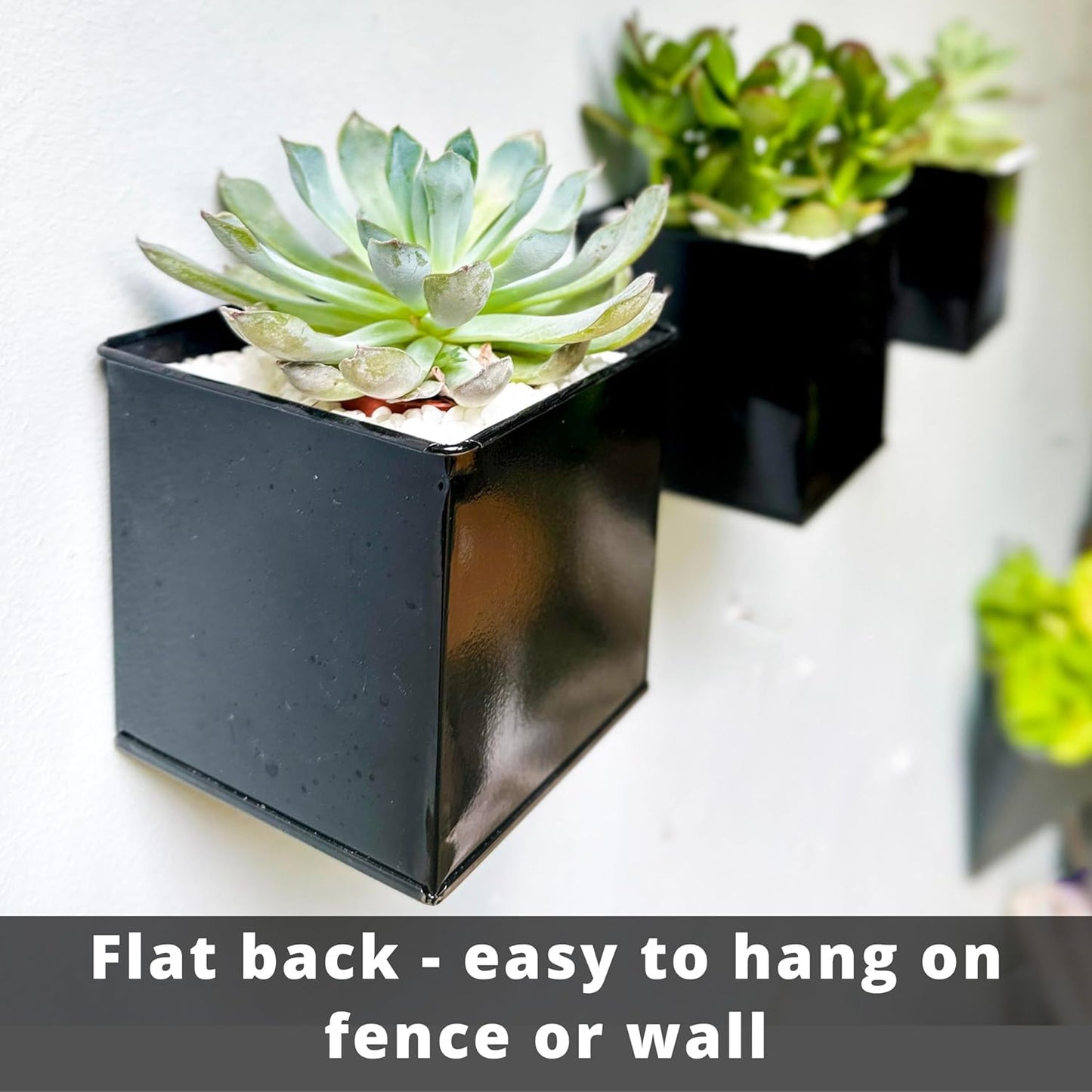 LaLaGreen Wall Planter - 6 Pack, 4 Inch Square Metal Wall Planter for Indoor Plants, Small Black Wall Mounted Flower Pots Outdoor Garden Decoration, Balcony Planters Railings Hanging Outdoor