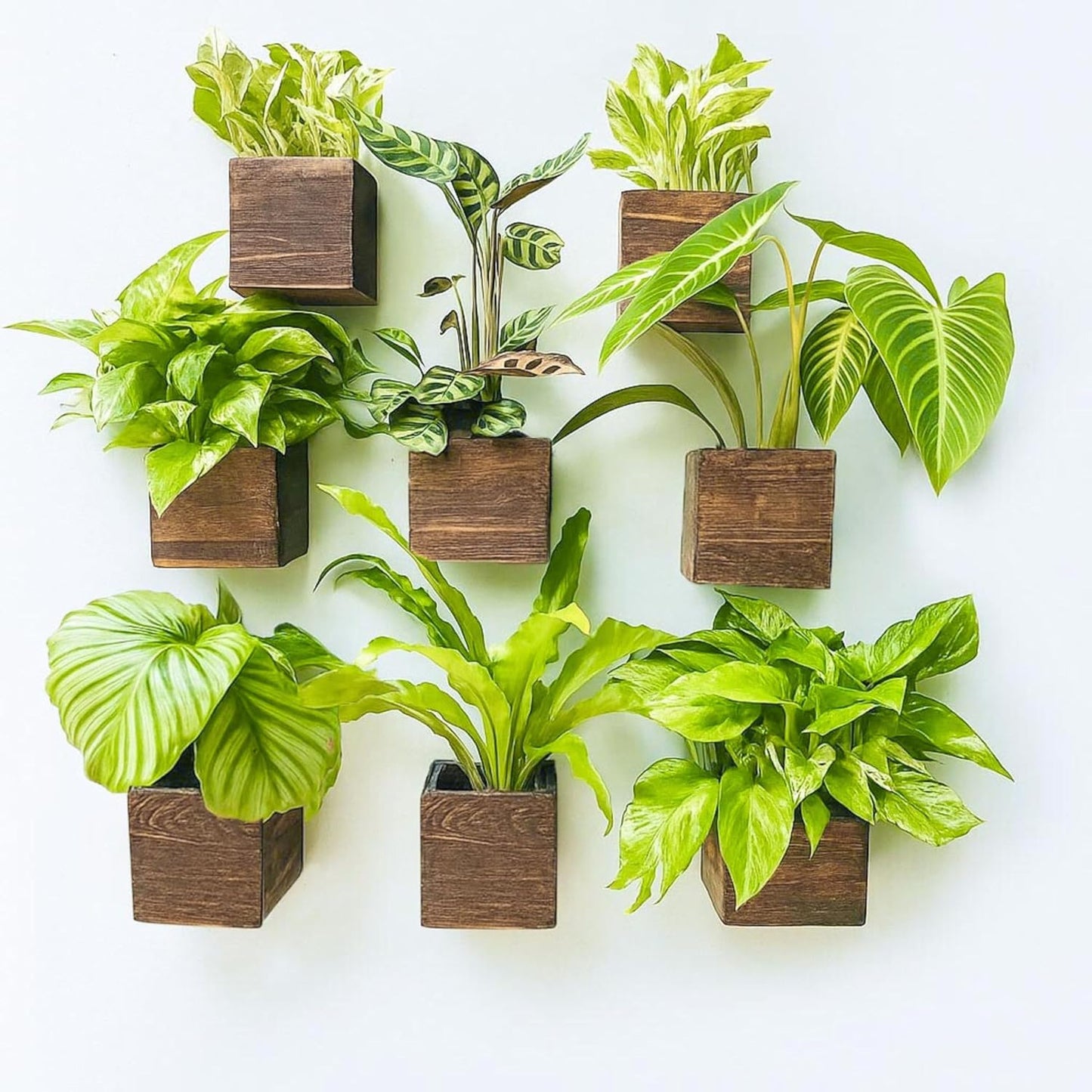 LaLaGreen Wooden Planter Box for Plants (2 Pack, 4x4 Inch) Small Square Wall Planters for Indoor Plant, Natural Wood Hanging Flower Pot Boxes Table Centerpiece Herb Balcony Home Garden Office Decor