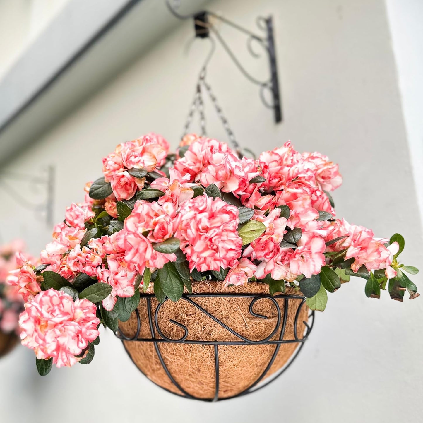 LaLaGreen Hanging Planter for Outdoor Plants (16 Inch, 4 Pack) Hanging Baskets with Coco Liner, Black Metal Wire Flower Basket Pots with Hook Hanger Balcony Porch Farmhouse Country Style Garden Decor