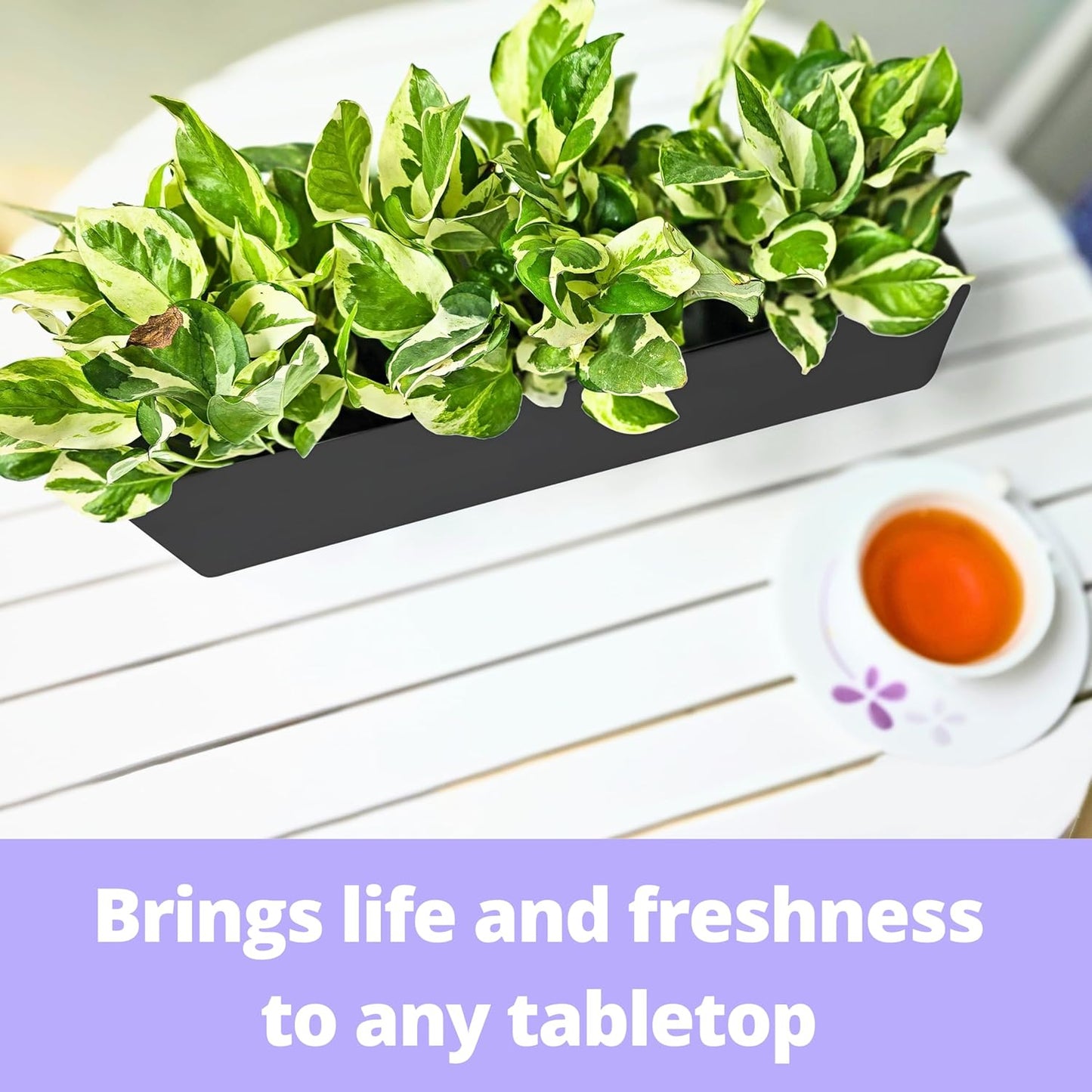 LaLaGreen Wall Planter (16 Inch, 2 Pack) Rectangular Metal Hanging Flower Pot for Succulents Carbon Steel Black, Long Window Sill Box Modern Fence Floating Garden Shelf for Deck Indoor Outdoor Decor