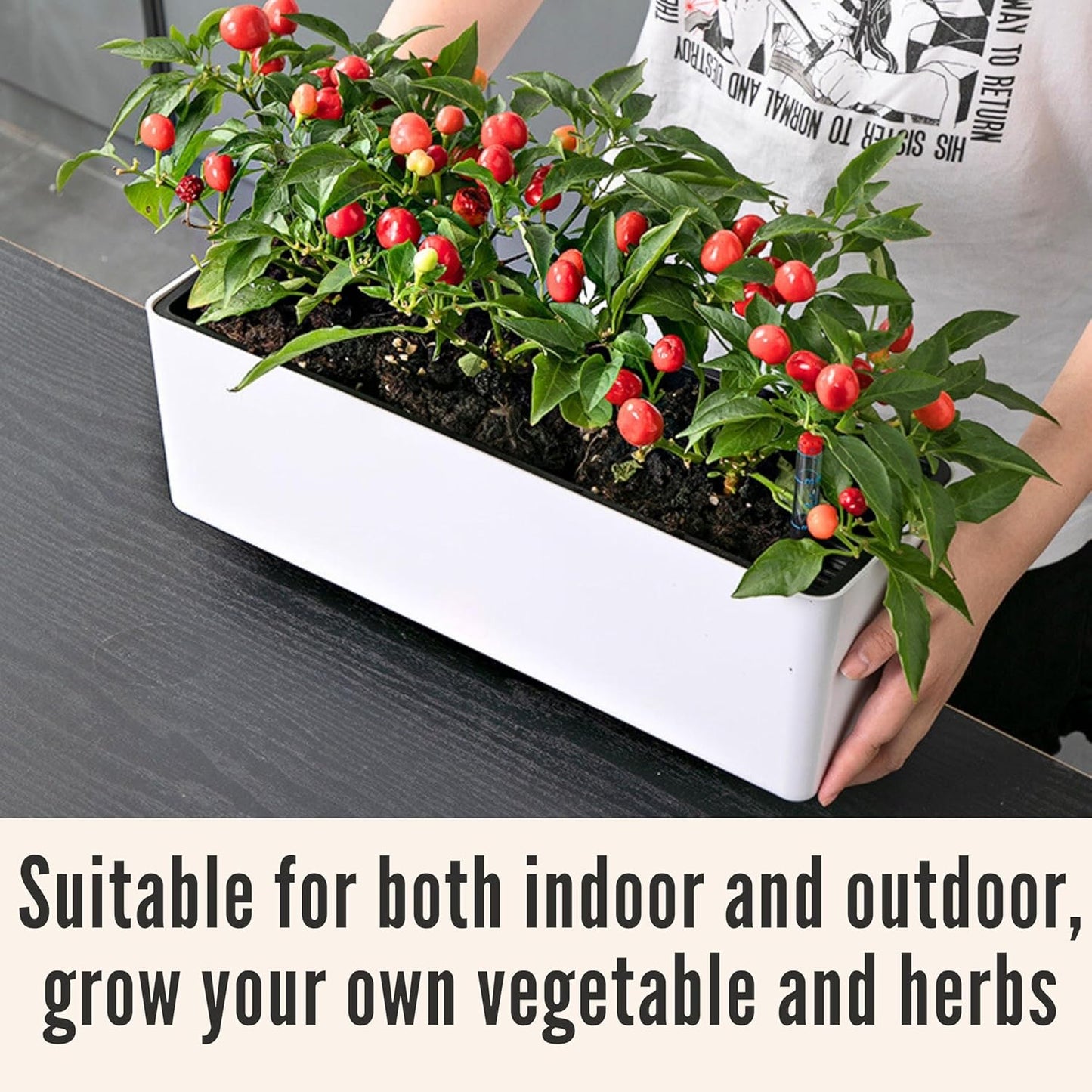 LaLaGreen Planter Box for Indoor Plants (2 Pack, 16 Inch) White Rectangular Self Watering Flower Pot, Large Window Boxes Planters with Drainage Decorative Modern Balcony Windowsill Herbs Home Garden