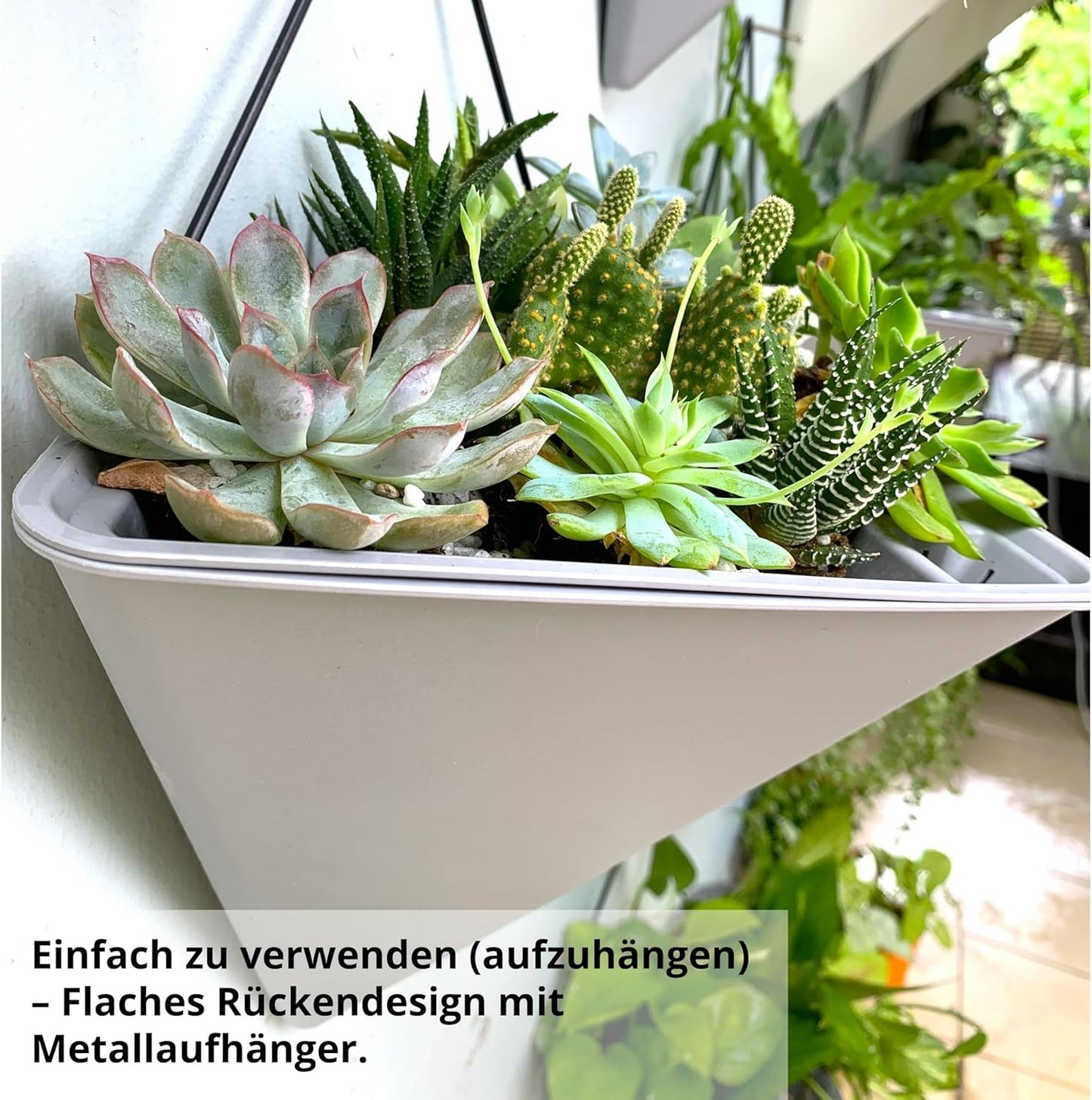 LaLaGreen Succulent Wall Planters - 2 Pack, 12 Inch Large Self Watering Wall Hanging Planters for Indoor Plants Gray Wall Mount Triangle Geometric Flower Vase Pot Black Metal Hanger Living Wall Decor