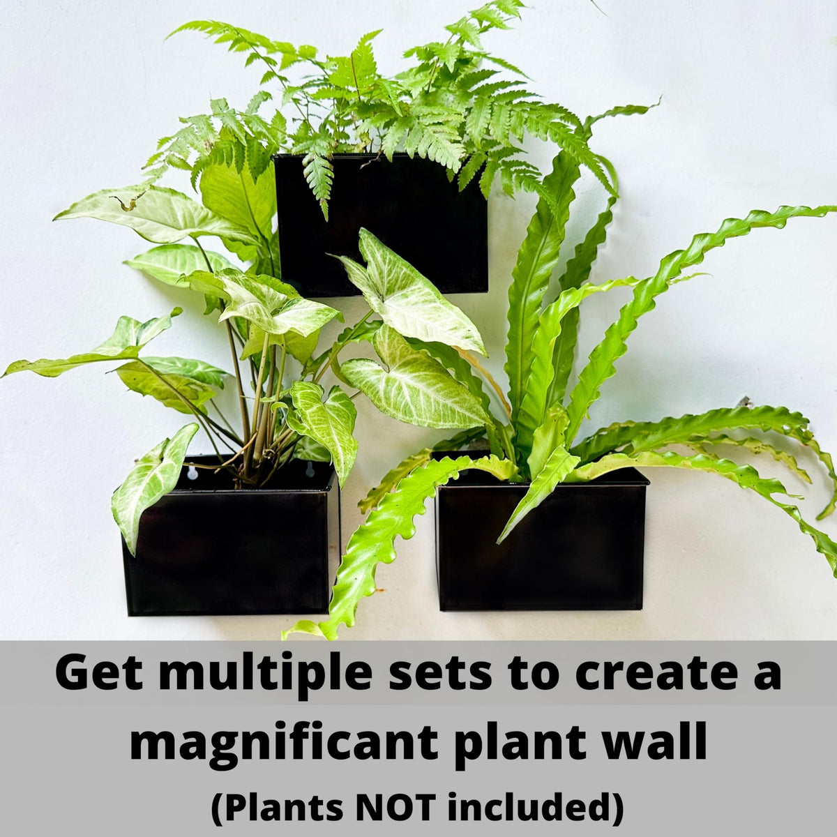 LaLaGreen Metal Wall-Mount Planter Pots