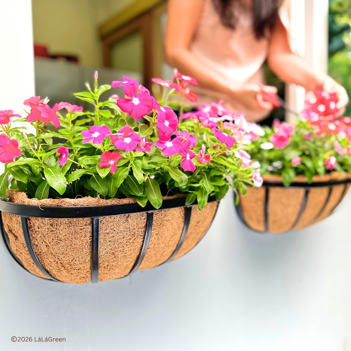 LaLaGreen Half-Round Rectangular Coconut Coir Replacement Liners