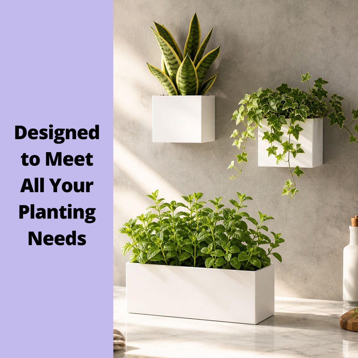 LaLaGreen Rectangular Carbon-Steel Wall Planter Set