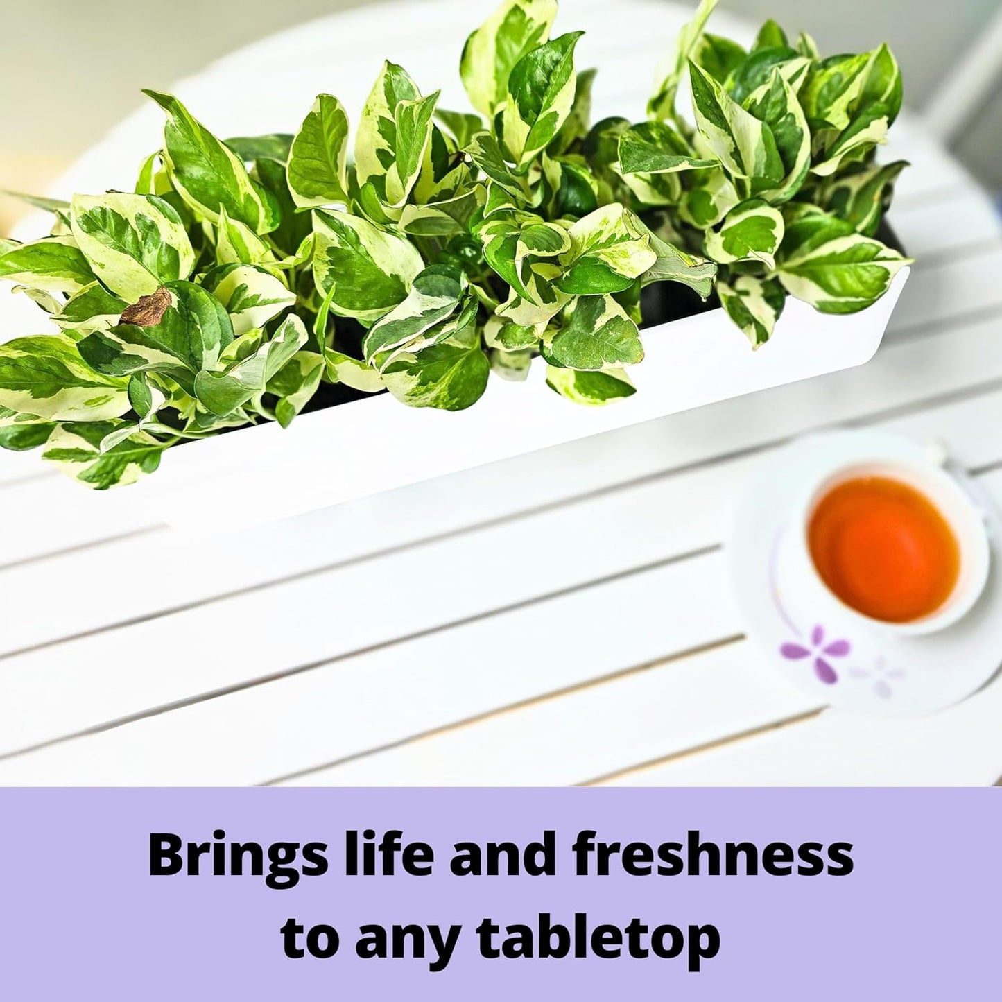 LaLaGreen Wall Planter (24 Inch, 2 Pack) Carbon Steel White Metal Hanging Flower Pot for Succulents, Wall Mount Rectangular Window Sill Box Fence Floating Garden Shelf for Deck Indoor Outdoor Decor