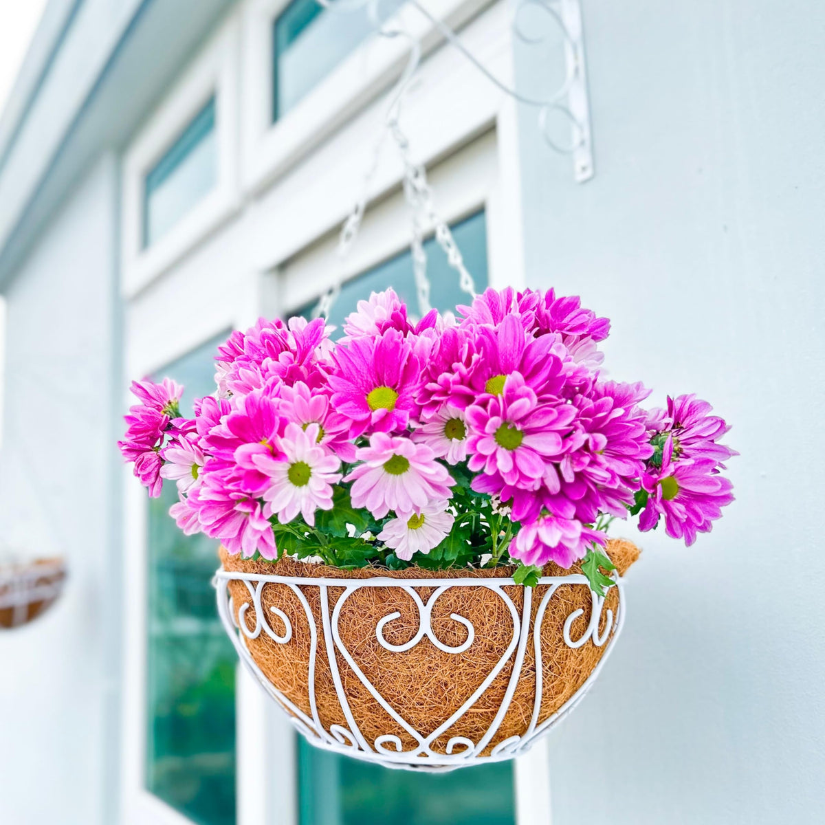 LaLaGreen Metal Hanging Baskets (10 in, 2 Pack) White Coco Liner Plant Pots