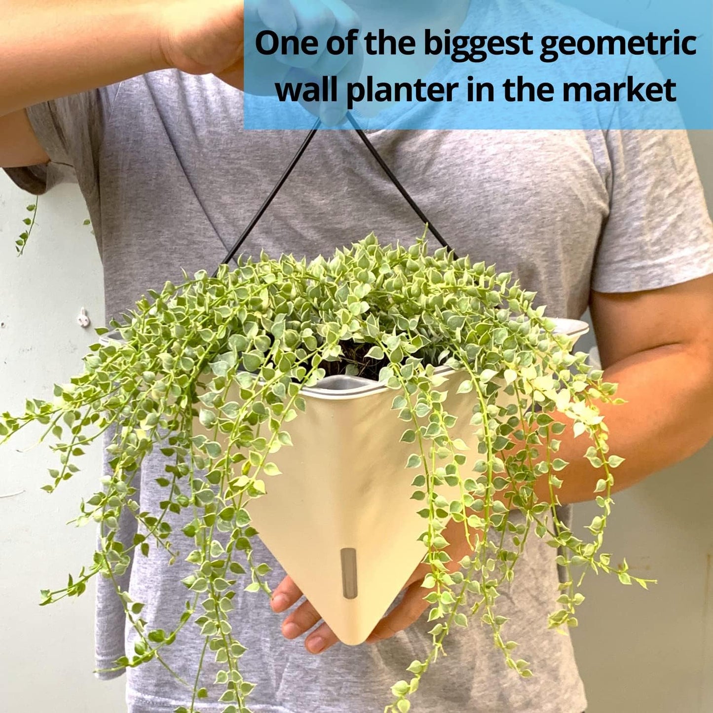 LaLaGreen Wall Planters for Indoor Plants - 2 Pack, 12 Inch Large Self Watering White Geometric Hanging Flower Vase Vessel with Metal Hanger, Modern Stylish Wall Mounted Succulent Pot Holder Decor