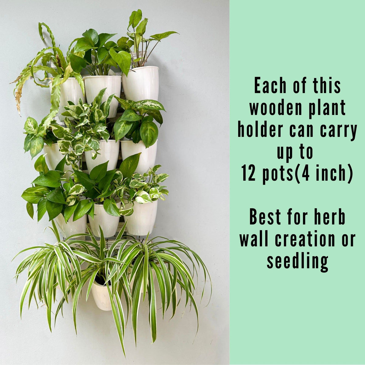 LaLaGreen White Wooden Ladder-Style Wall Plant Holders