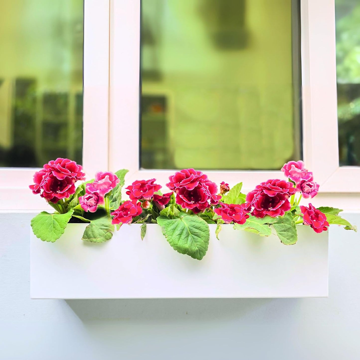 LaLaGreen Wall Planter (24 Inch, 2 Pack) Carbon Steel White Metal Hanging Flower Pot for Succulents, Wall Mount Rectangular Window Sill Box Fence Floating Garden Shelf for Deck Indoor Outdoor Decor