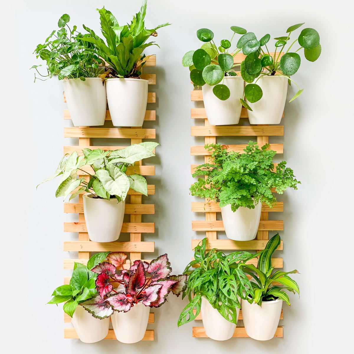 LaLaGreen Natural Wood Ladder-Style Wall Plant Holders