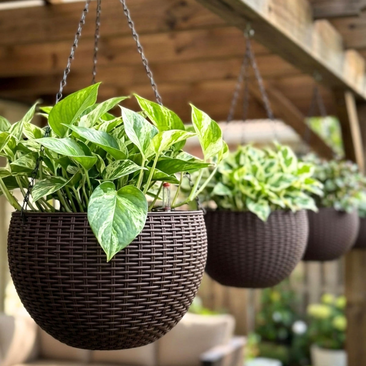 LaLaGreen Self-Watering Hanging Planters