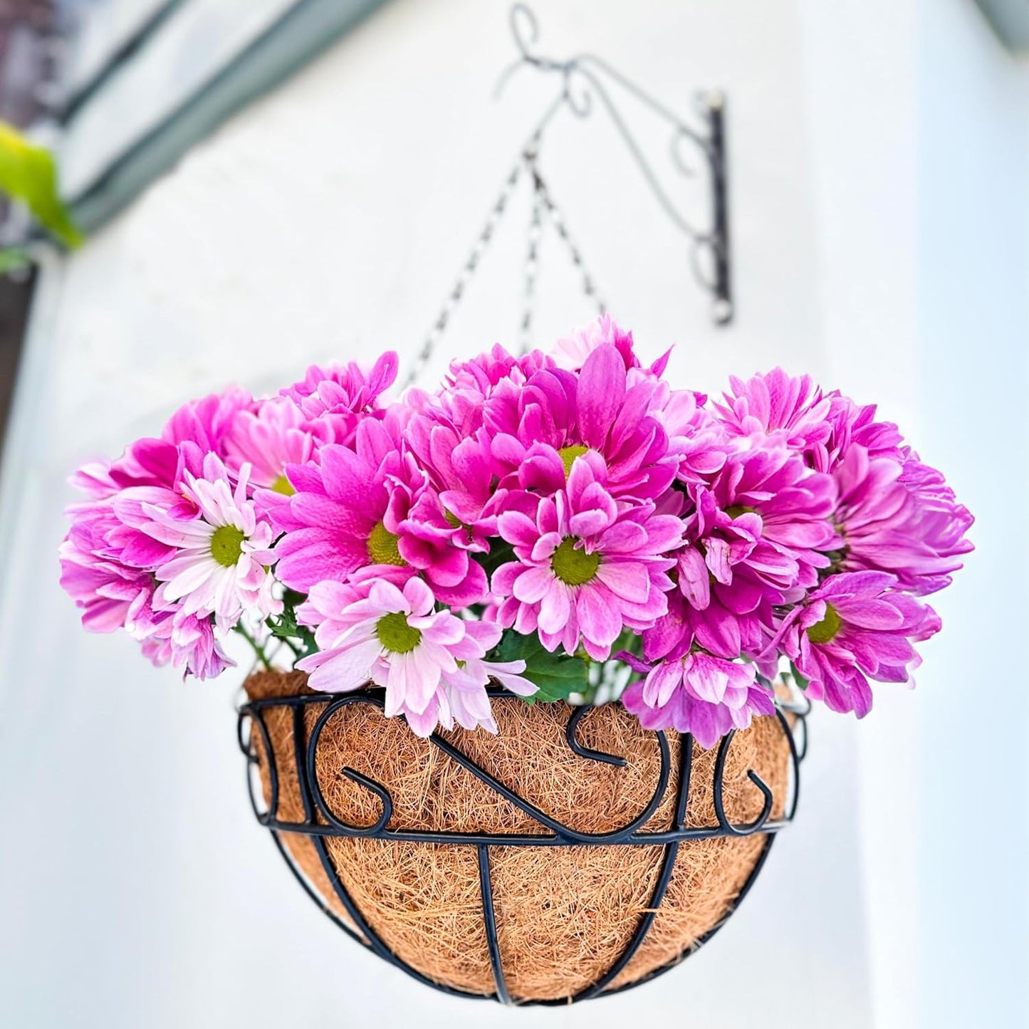 LaLaGreen Hanging Planter for Outdoor Plants (14 Inch, 2 Pack) Black Hanging Baskets with Coco Liner, Metal Wire Flower Basket Pots with Hook Hanger Balcony Porch Farmhouse Country Style Garden Decor