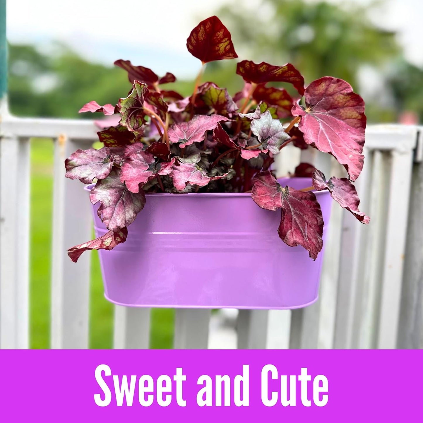 LaLaGreen Outdoor Hanging Planter (11.2 Inch, 6 Pack) Light Pink, Light Purple, Turquoise, Neon Pink, Yellow, Orange Metal Iron Window Box Flower Pot Deck Railings Fence Buckets Porch Garden Decor