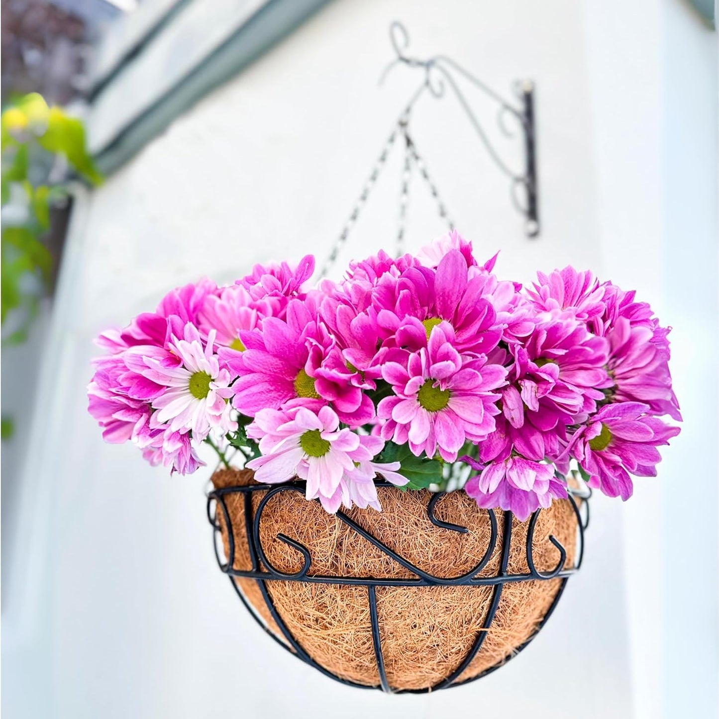 LaLaGreen Hanging Planter for Outdoor Plants (16 Inch, 2 Pack) Hanging Baskets with Coco Liner, Black Metal Wire Flower Basket Pots with Hook Hanger Balcony Porch Farmhouse Country Style Garden Decor