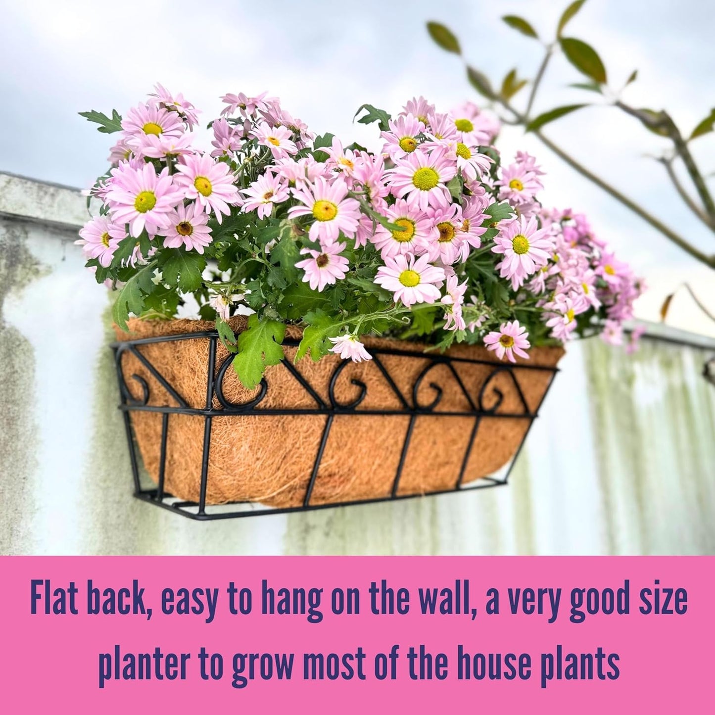 LaLaGreen Wall Planters for Outdoor Plants (2 Pack, 16 Inch) Window Flower Boxes Basket Attach to House, Deck Railing Strawberry Planters with Coco Liners BalconyTroughs Fence Patio Porch Over Rail