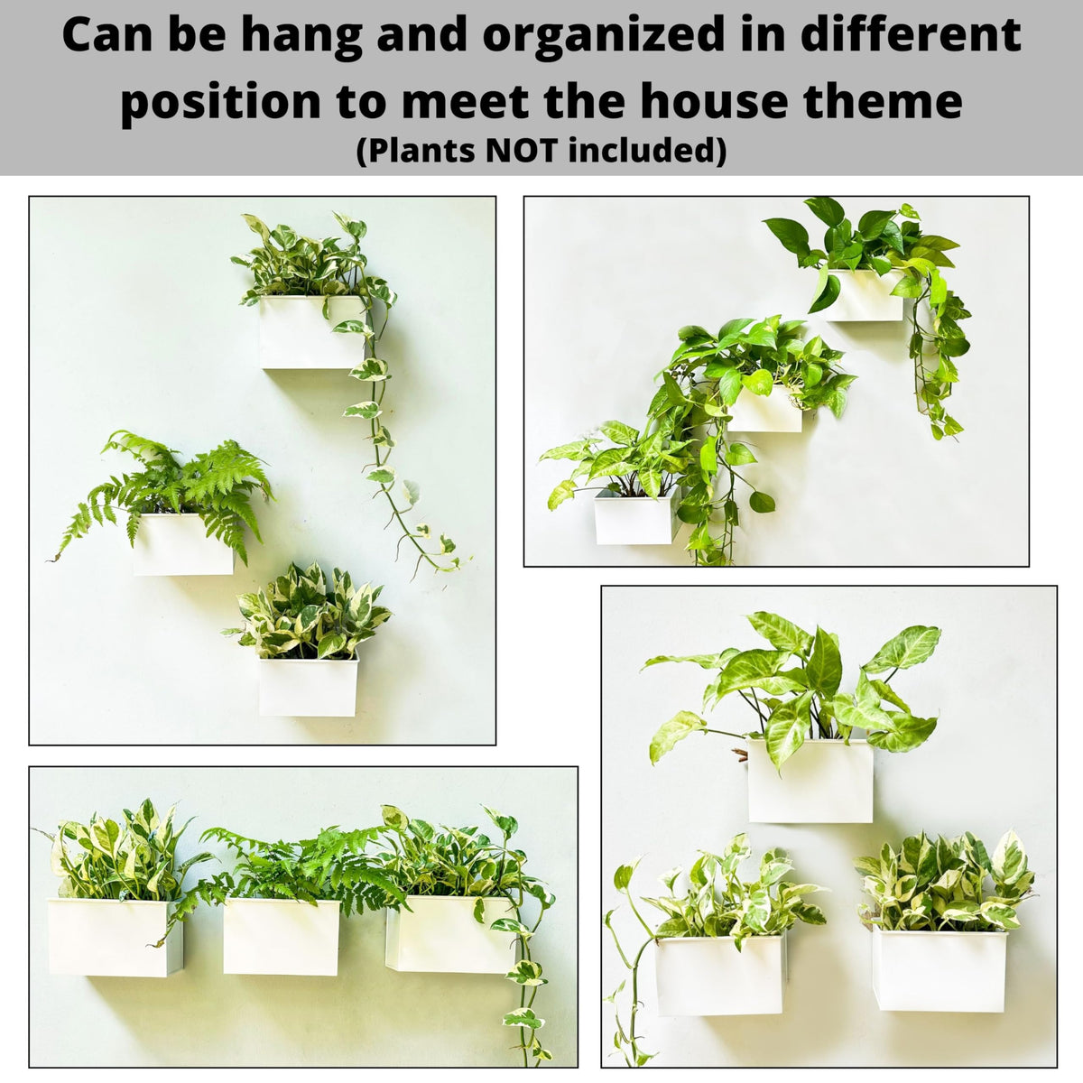 LaLaGreen Metal Wall-Mount Planter Pots