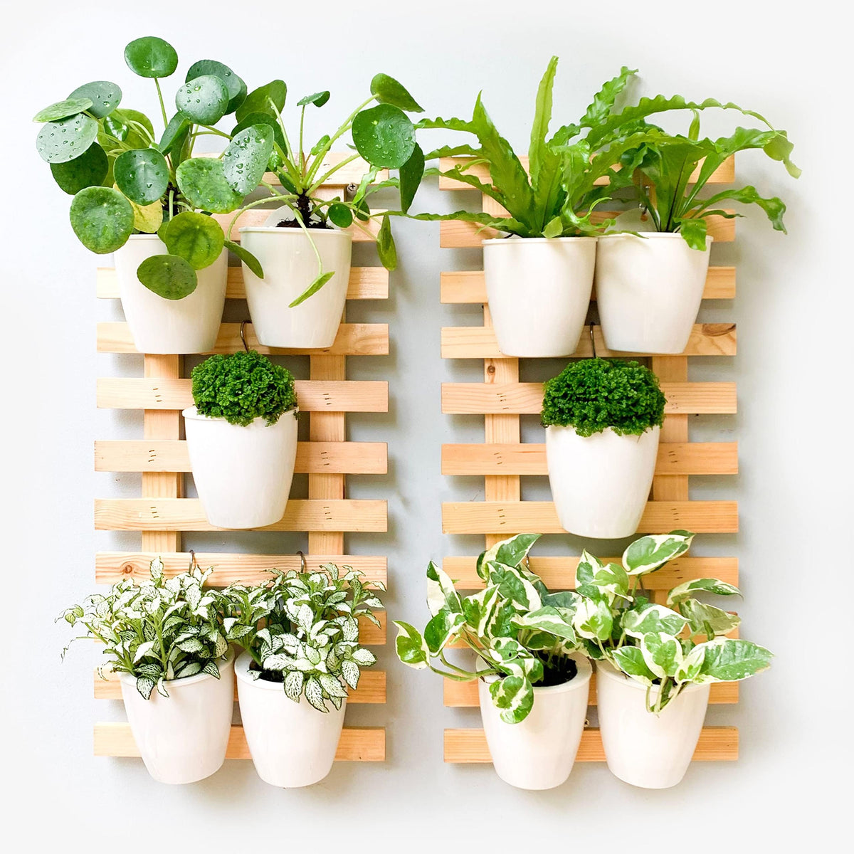 LaLaGreen Natural Wood Ladder-Style Wall Plant Holders
