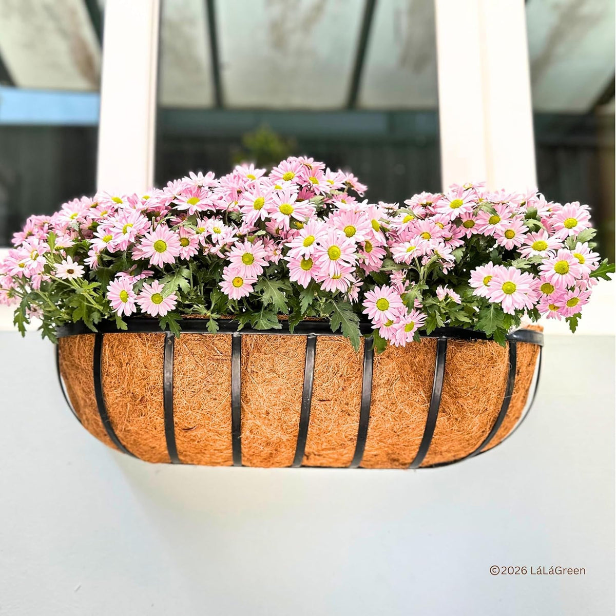 LaLaGreen Half-Round Rectangular Coconut Coir Replacement Liners
