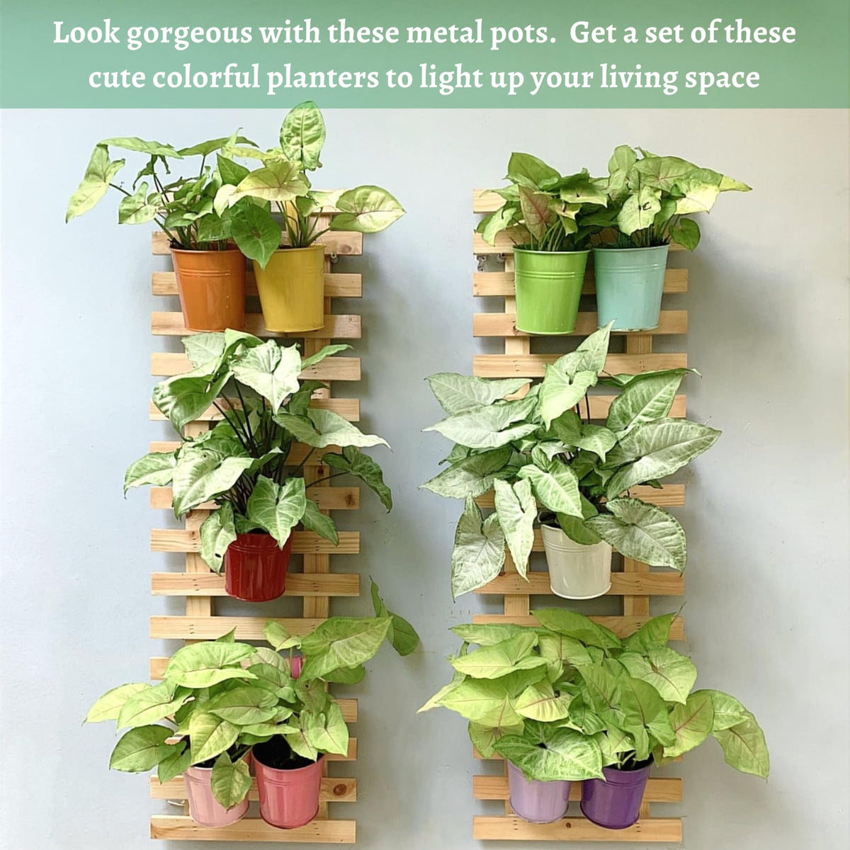 LaLaGreen Natural Wood Ladder-Style Wall Plant Holders