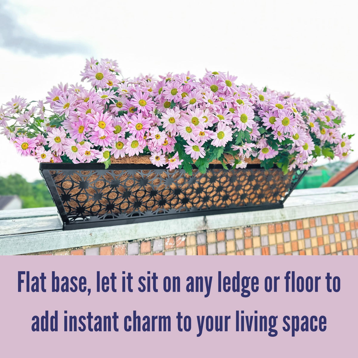 LaLaGreen Flower Wall Planter (12 in, 2 Pack) Black Metal Window Boxes