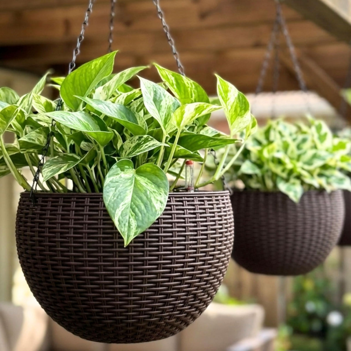 LaLaGreen Self-Watering Hanging Planters