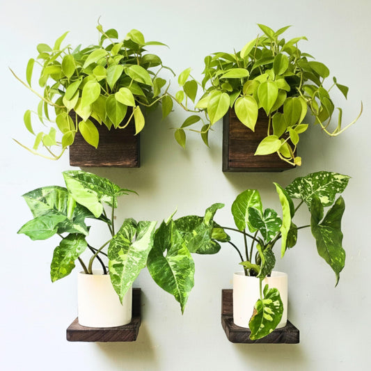 LaLaGreen Wooden Wall Planter Boxes and Floating Shelves Set