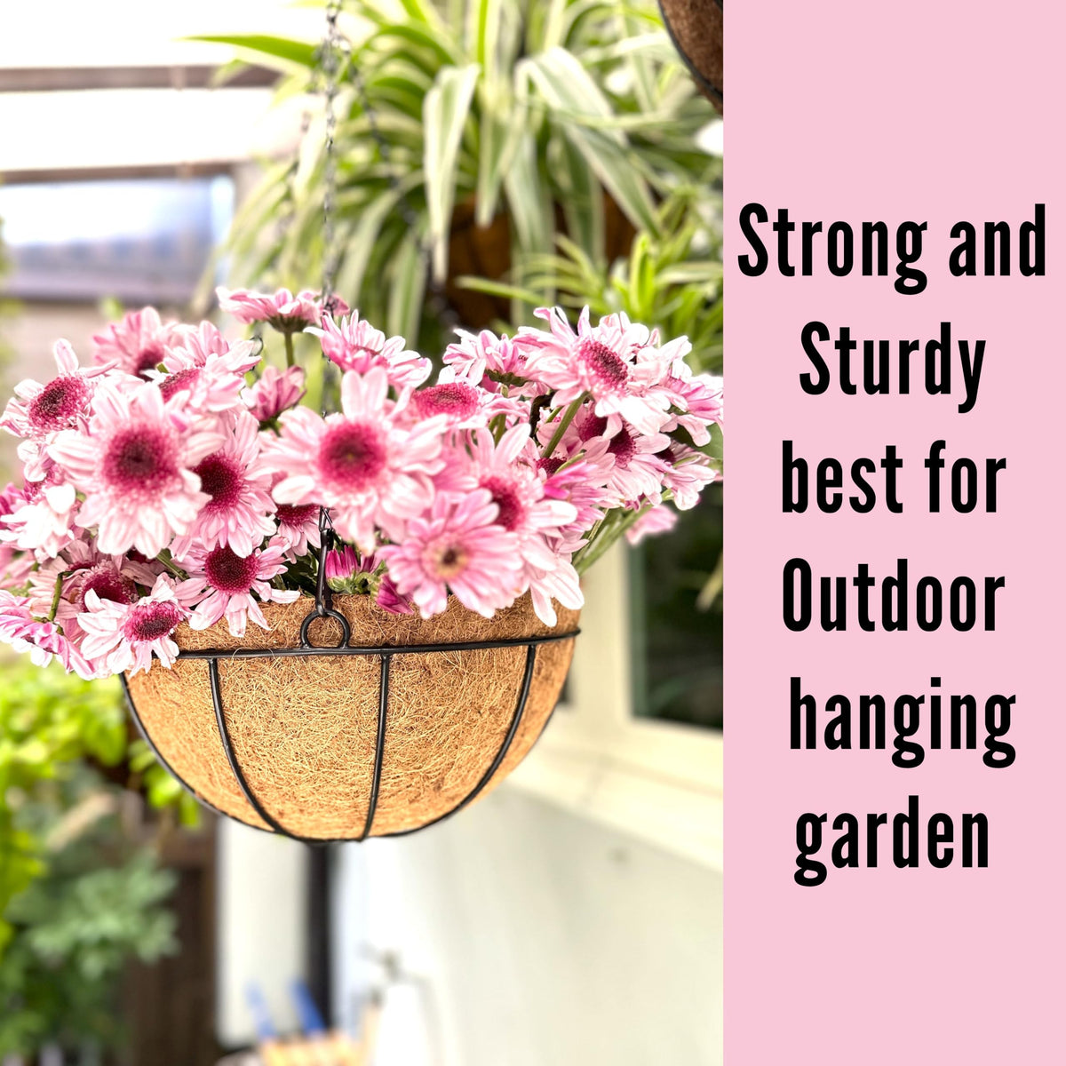 LaLaGreen Hanging Baskets for Plants (10 in, 6 Pack) Coco Liner Flower Pots