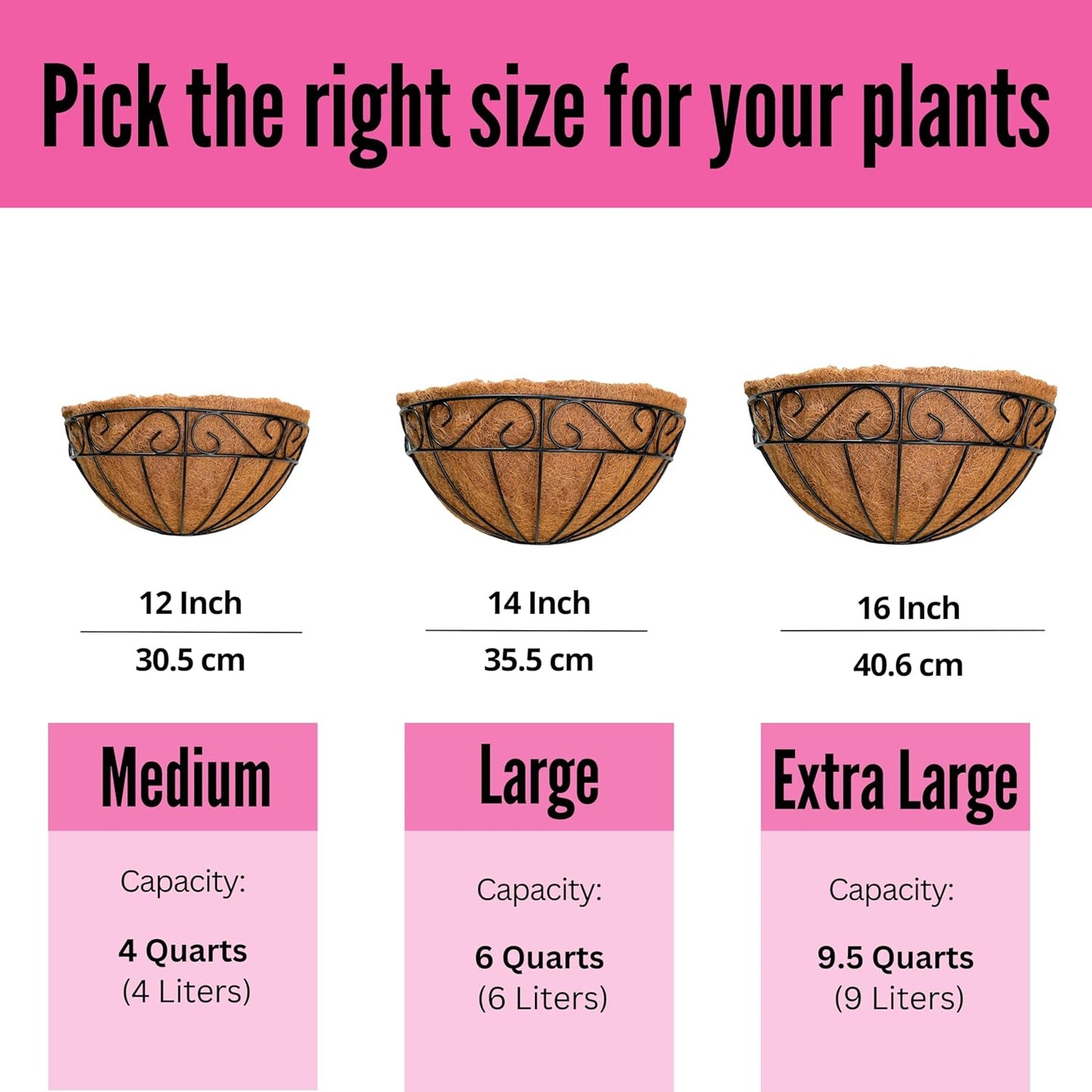 LaLaGreen Wall Hanging Planter, 2 Pack, 12 Inch Wall Mounted Flower Basket with Coco Liner for Outdoor Plants, Black Metal Wire Rail Herb Pot Holder Fence Railing Deck Porch Balcony Garden Patio Decor