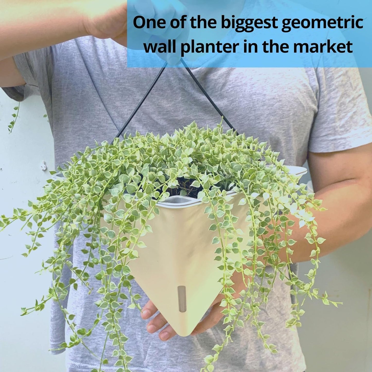 LaLaGreen Wall Planters for Indoor Plants - 4 Pack, 12 Inch Large Self Watering Black and White Mixed Color Geometric Indoor Vertical Garden Wall Hanging Flower Vase Vessel with Metal Hanger Stylish