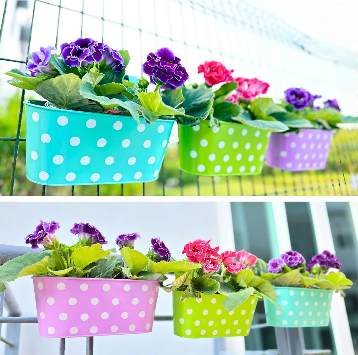 LaLaGreen Polka Dot Metal Railing Planter Boxes — 11.2 in